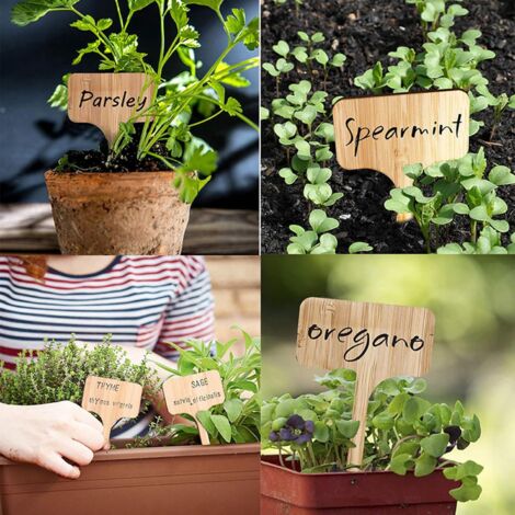 30 Étiquettes Jardin En Bois Ovale 10×6 Cm + Marqueur – Étiquettes Plantes Extérieur