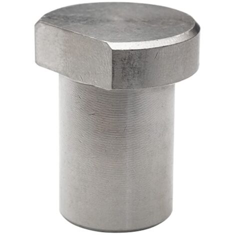4 Chiens D'arrêt D'établi En Acier Inoxydable - Diamètre 19mm, Argent | Pour Fraisage, Coupe, Meulage, Travail Du Bois