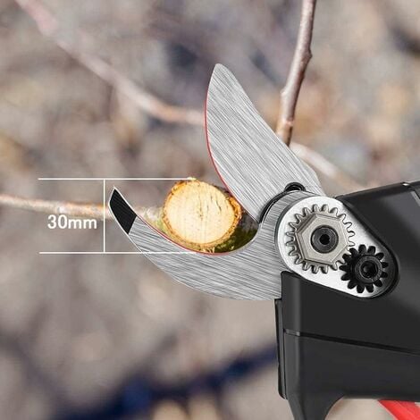Acheter Sécateur électrique sans fil, sécateur de branches d'arbre alimenté  par batterie avec balais