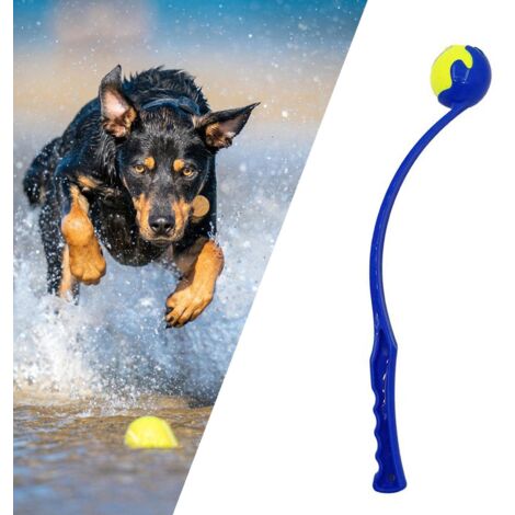 Lanceur De Billes Automatique Pour Chien - Jouet Interactif, Distribue Des Friandises, Blanc