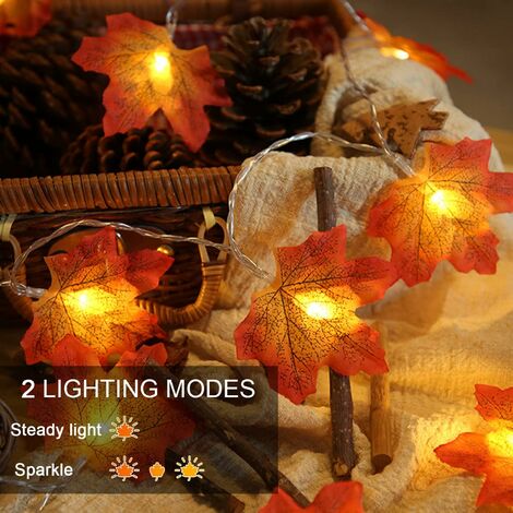 Dilwe Guirlande Lumineuse Feuilles d'Érable LED Décoration Automne