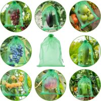 60 Sacs De Protection Fruits En Organza 20x30cm | Anti-Insectes & Oiseaux | Réutilisables & Respirants
