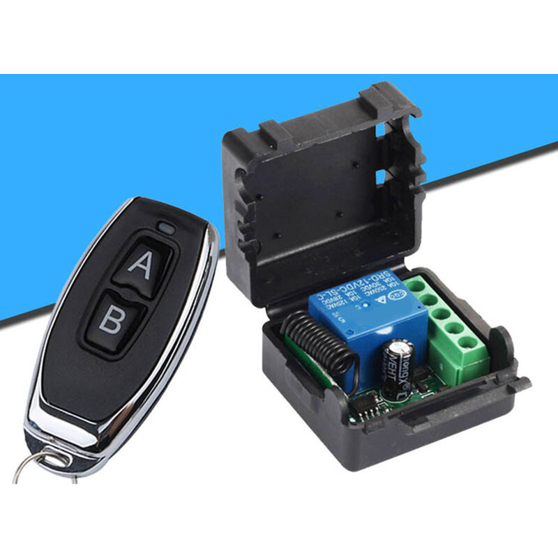 LIFE MAXI 2 – Émetteur Manuel 2 Canaux | Durable Avec Batterie 12 V