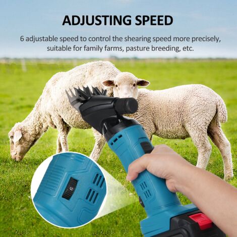 TONYSA 500W Tondeuse Mouton Electrique,Tondeuse à Moutons Machine avec 6 Vitesses Réglables,Machine de Cisaillement Professionnelle pour Tondeuse Animaux Laine Chèvre