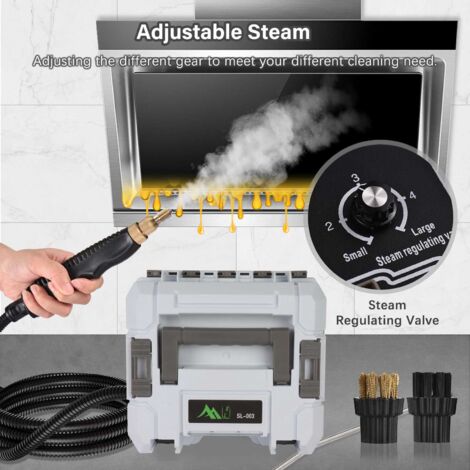 Waitbird Nettoyeur Vapeur Multi-Usages, Nettoyeur à Vapeur Écologique Et Sécurisé, Grande Capacité, 21 Accessoires, Idéal Pour Nettoyer Sols, Canapés, Vitres Et Voitures