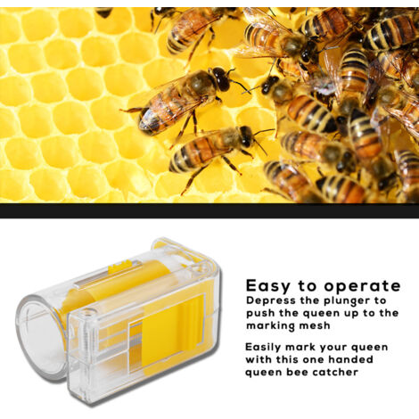 Apiculture Marquage Reine Lntyq Bouteille De Marqueur Pour Reine Des Abeilles Cage Pour Reine Des Ruchette Apiculture