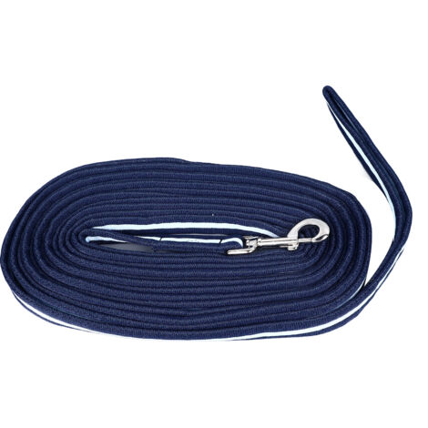 Corde d'entraînement pour chevaux, polyvalente, tissée à la main, épaisse et solide, attache de Construction pour équipement équestre, 26,2 pieds (1/5)