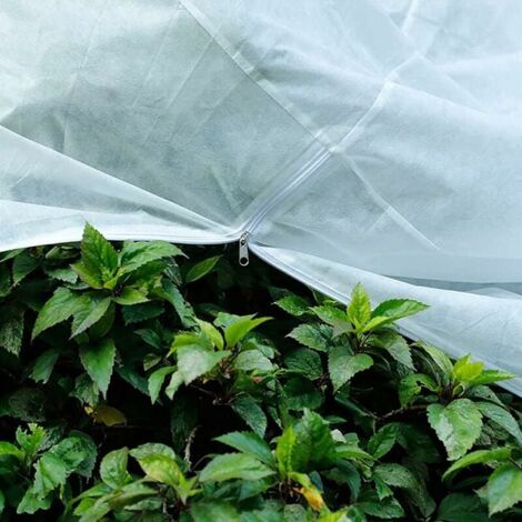 Lot De 2 Voiles D'hivernage Pour Plantes - Protection Racinaire Pour Palmier, Olivier (30x100cm) - 5