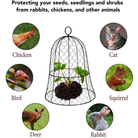 Cloche En Fil De Poulet Pour Plantes - Protection Durable Du Jardin
