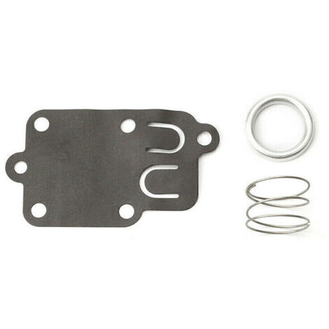 Membrane carburateur Briggs et Stratton (1/4)
