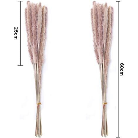 30 pcs Herbe de la Pampa, 60 cm Naturel Pampa Fleur Bouquet de Fleurs Sechees pour Vases, Boho Decoration Chambre Maison Salon, Mariage Photographier Table Décoration