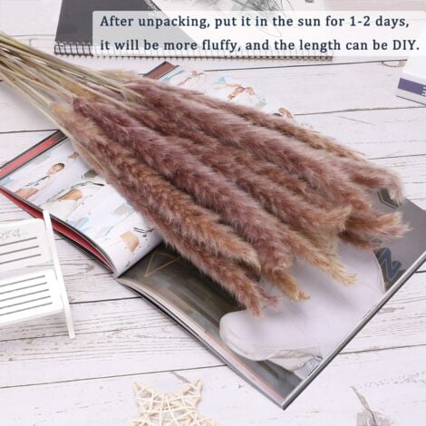30 pcs Herbe de la Pampa, 60 cm Naturel Pampa Fleur Bouquet de Fleurs Sechees pour Vases, Boho Decoration Chambre Maison Salon, Mariage Photographier Table Décoration