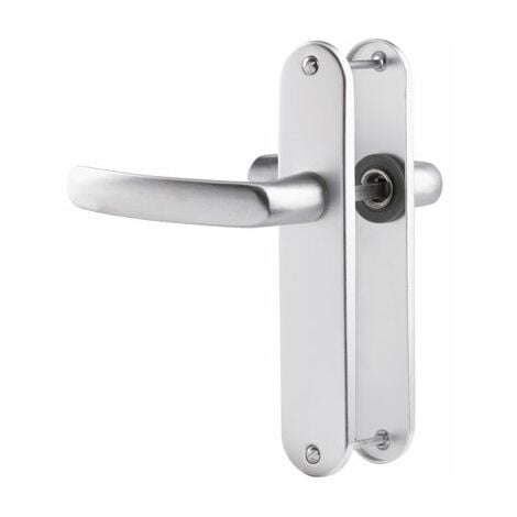 Poignées de porte Budget avec plaque en argent, entraxe 165 mm, bec de canne