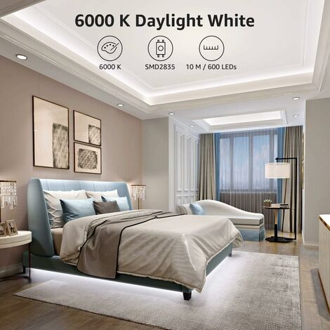 10M Ruban LED Dimmable, Bande LED Blanc Froid 6000K 600 LEDs SMD 2835, 12V Bandeau LED Autocollant avec Variateur, Connecteurs+Transformateur, Éclairage Intérieur pour Meuble, Escalier, Cuisine [Class