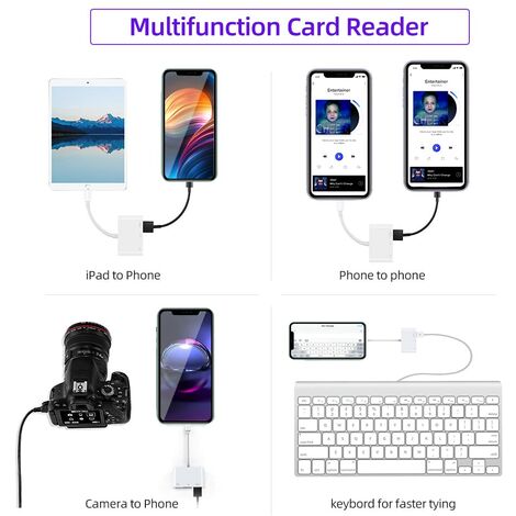 Lecteur de Carte SD/Micro SD pour Phone/Pad/Appareil Photo-Double  Emplacement pour Carte SD