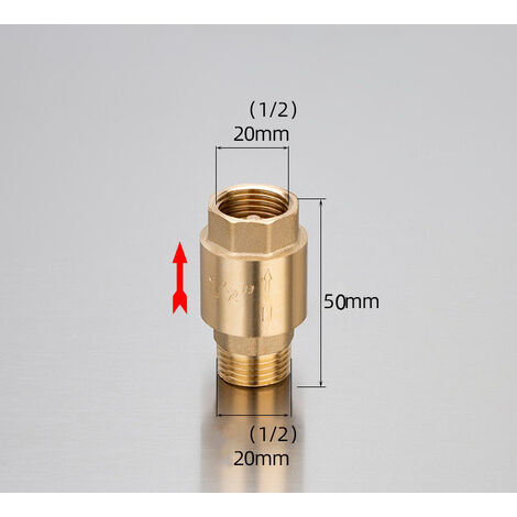 CLAPET ANTI RETOUR AUTOMATIQUE Ø 63 LAITON