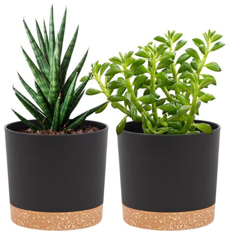 Lot De 2 Pots De Fleurs Carrés Respirants - 10 Cm Noir - Plastique Durable - Pour Intérieur Et Extérieur