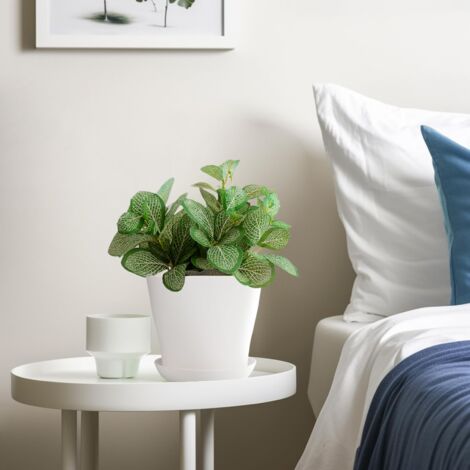 16 Pièces 10 CM Pots Plastique Plantes Petite, Cache Pot Interieur