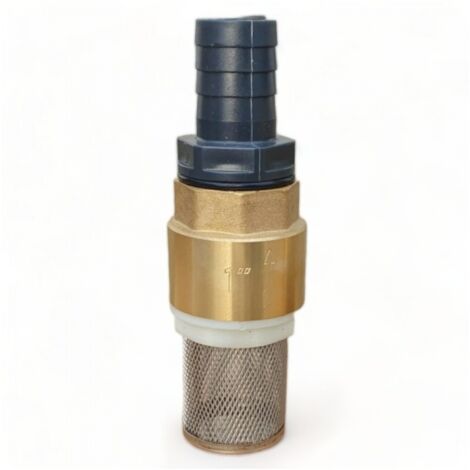 Clapet anti-retour laiton 1 pouce (25 mm) – Crépiné pour filtration – Maintien de l'eau pour pompes – Application irrigation rapide – Dunsch (1/3)