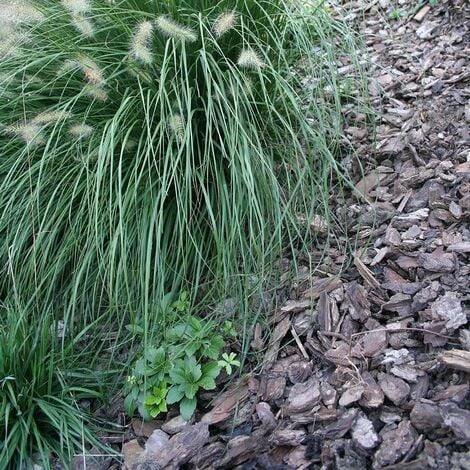 Copeaux colorés de bois naturel 5L - Paillage végétal