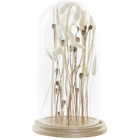 Decoracion Flor Seca Cristal 18X18X32 Espigas FD193637 (1/3)