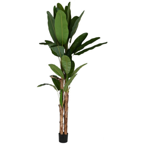 Planta Pe Cemento 90X90X290 Bananero Verde (1/4)