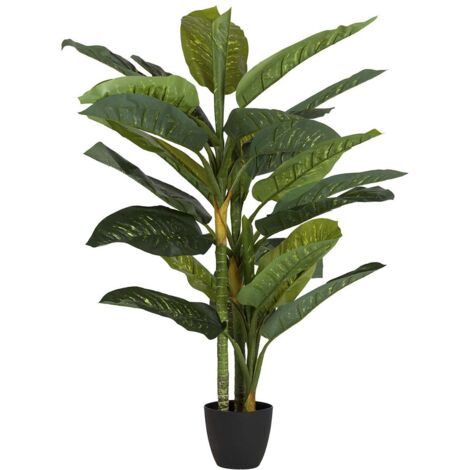 Planta Dieffenbachia Amoena Con Maceta 65X65X135Cm (1/2)