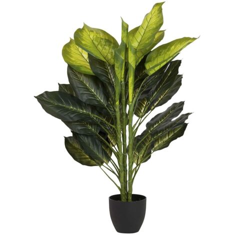 Planta Dieffenbachia Con Maceta 65X65X113 Cm (1/2)