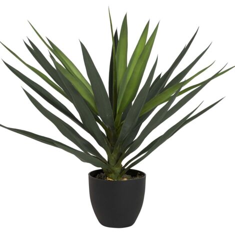 Planta Yucca Con Maceta 70X70X70 Cm (1/2)