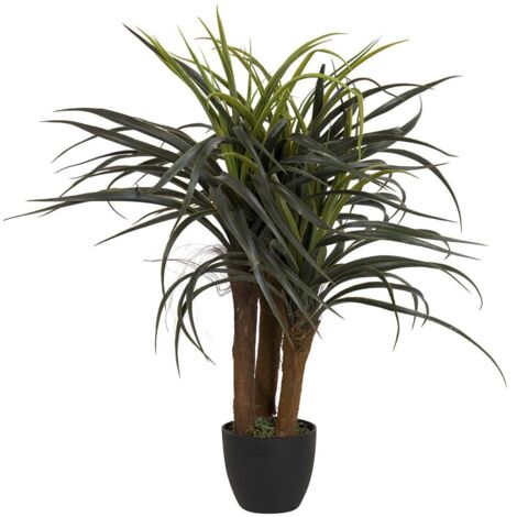 Planta Yucca Con Maceta 58X58X58 Cm