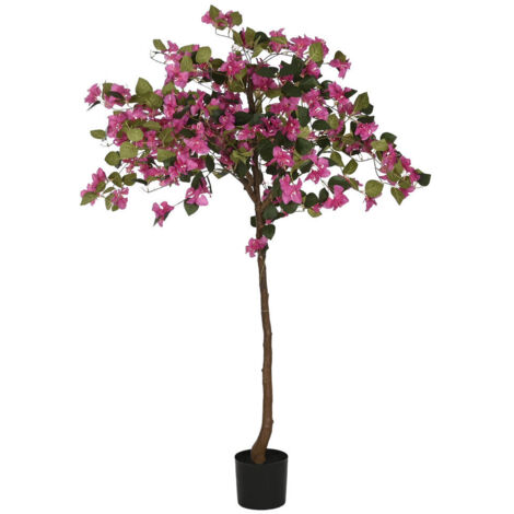 Planta Pe 80X80X150 Buganvilla Fucsia