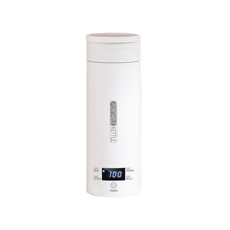 Bouilloire électrique portable pour voiture de 500 ml en acier inoxydable 316, arrêt automatique, anti-brûlure à sec, contrôle de la température, tasse à eau électrique de voyage 220 V