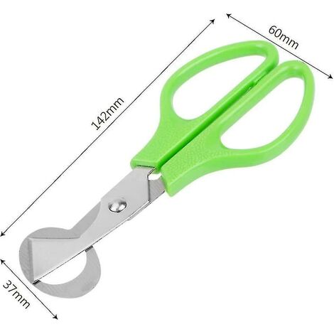Ciseaux Pour œufs De Caille IBILI INOX Vert - Neuf, Référence 768200