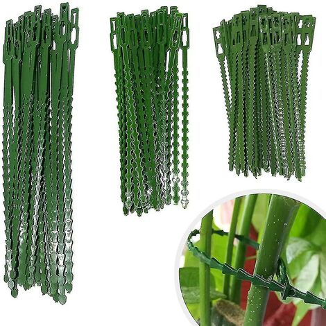 CREA 160 pièces attaches de jardinage réglables, attache et support pour plantes, aide (1/4)