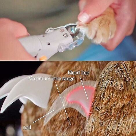 CREA professionnel coupe-ongles pour animaux de compagnie ciseaux chien chat ongles orteil griffe Clipp
