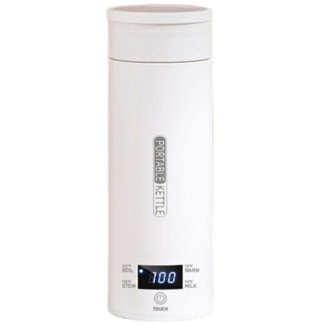 Bouilloire électrique portable pour voiture de 500 ml en acier inoxydable 316, arrêt automatique, anti-brûlure à sec, contrôle de la température, tasse à eau électrique de voyage 220 V