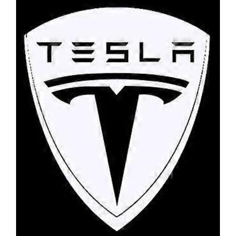 Lot de 2 projecteurs LED pour porte de Tesla, éclairage de bienvenue dédié aux modèles Tesla Model 3 X