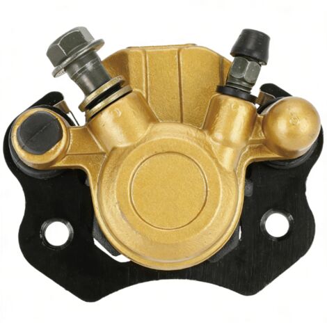 Étrier de frein arrière doré avec plaquettes de frein et filtre à carburant, adapté aux motos Coolster Taotao 50-250cc (gauche). (1/5)