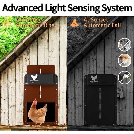 Nueva puerta automática de gallinero, impermeable automática con sensor de  luz, puerta automática de gallinero de