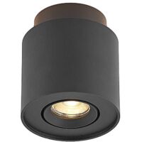 Strahler "Walisa" aus Aluminium für Wohnzimmer & Esszimmer von Arcchio