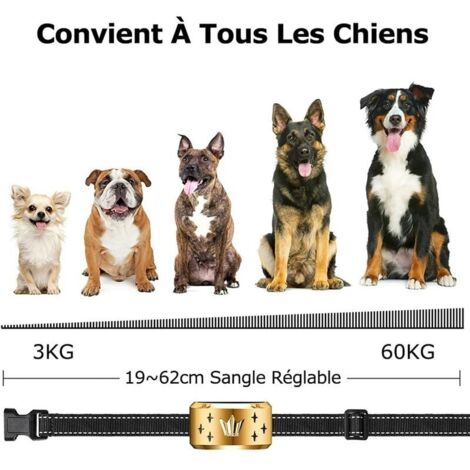 Collier Anti Aboiement Chien Électrique Automatique Rechargeable Avec 7 Niveaux Ajustables, 3 Modes Sensibilité/Vibration/Choc 19-62Cm Sangle Réglable Pour Petit/Gros Chien Étanche Ip66(2020 Version)-