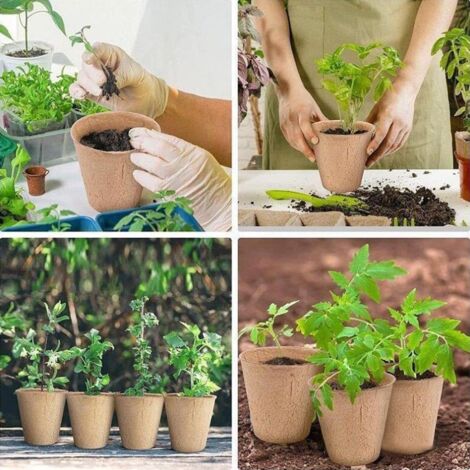 50 Pots Semis Biodégradables 8 Cm + 50 Étiquettes + Outils – Fibres Végétales Écologiques Pour Graines Fleurs Légumes, Sans Dommage Racines