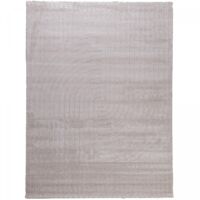 Tapis salon ton sur ton 160x220 LYN9 E Beige