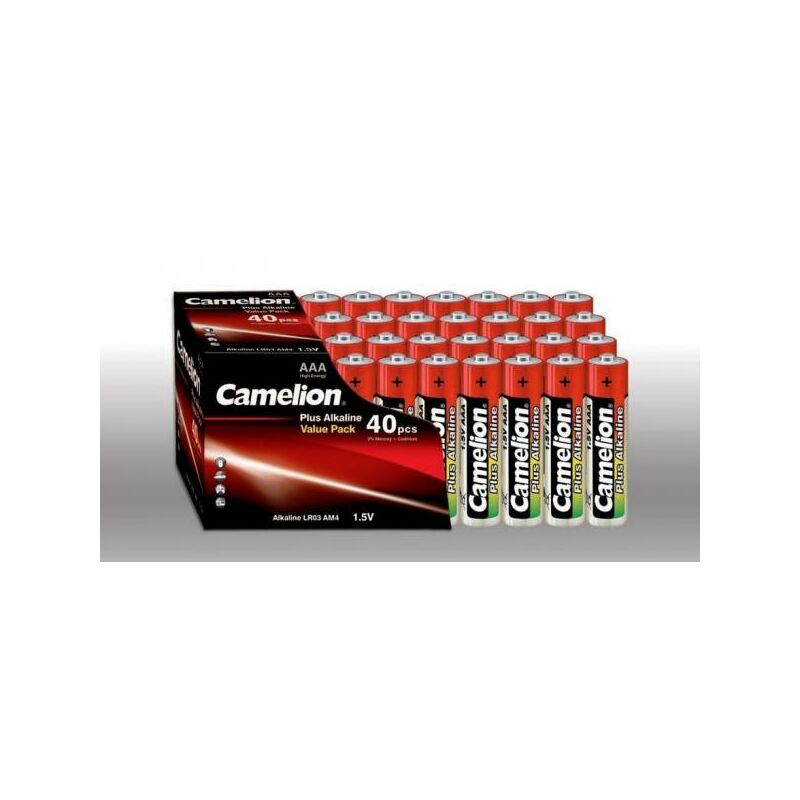 Batterie Ministilo AAA LR03 Litio Camelion BL 2