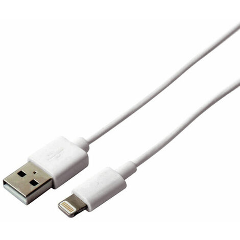 Basics Cavo prolunga USB-A 2.0 maschio, femmina USB-A, 2 m, Nero :  : Informatica