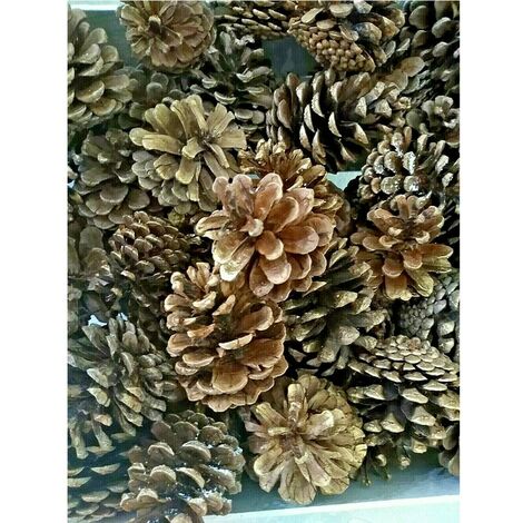 200 Pigne Naturali Mini Per Decorazioni Natalizie | 2-3 Cm | Ideali Per Fai Da Te, Albero Di Natale E Centrotavola - Foto 9