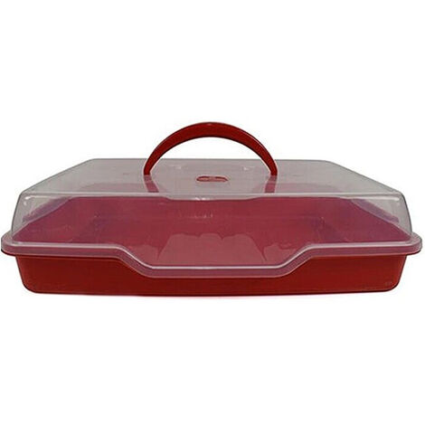 Guerriero Pickering Veloce come un lampo porta torta rettangolare plastica Rende