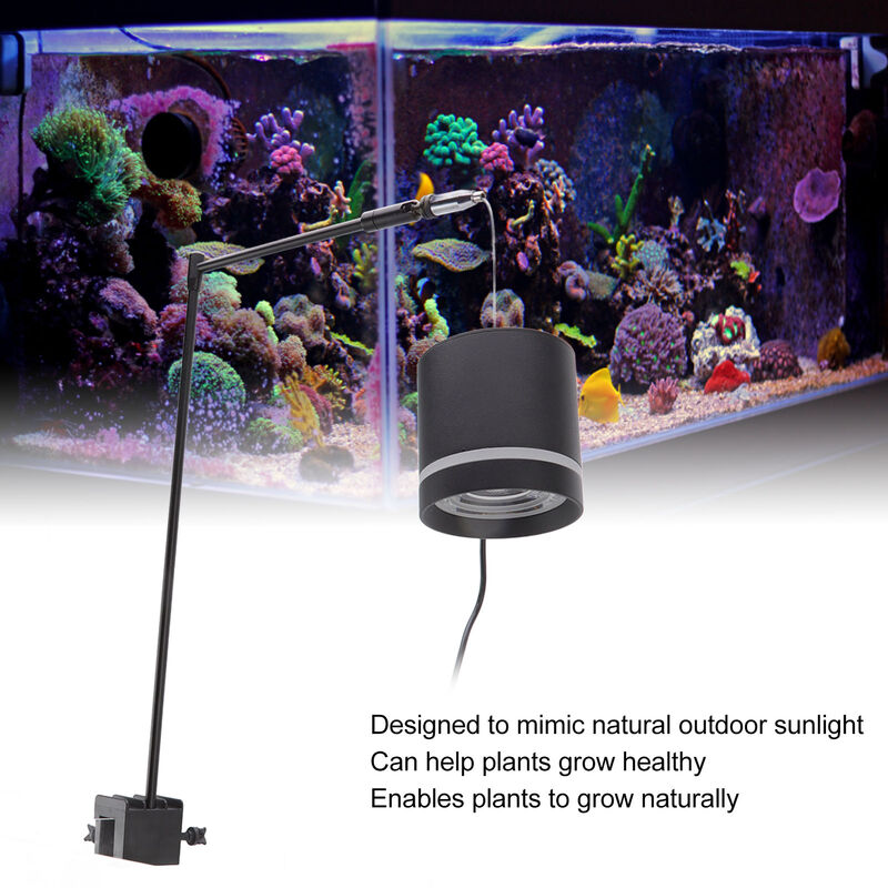 20W Aquarium LED avec minuterie éclairage coquillages, 75-100cm