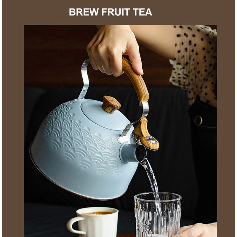 Eosnow Bouilloire à thé sifflante de 2,5 litres, théière en acier