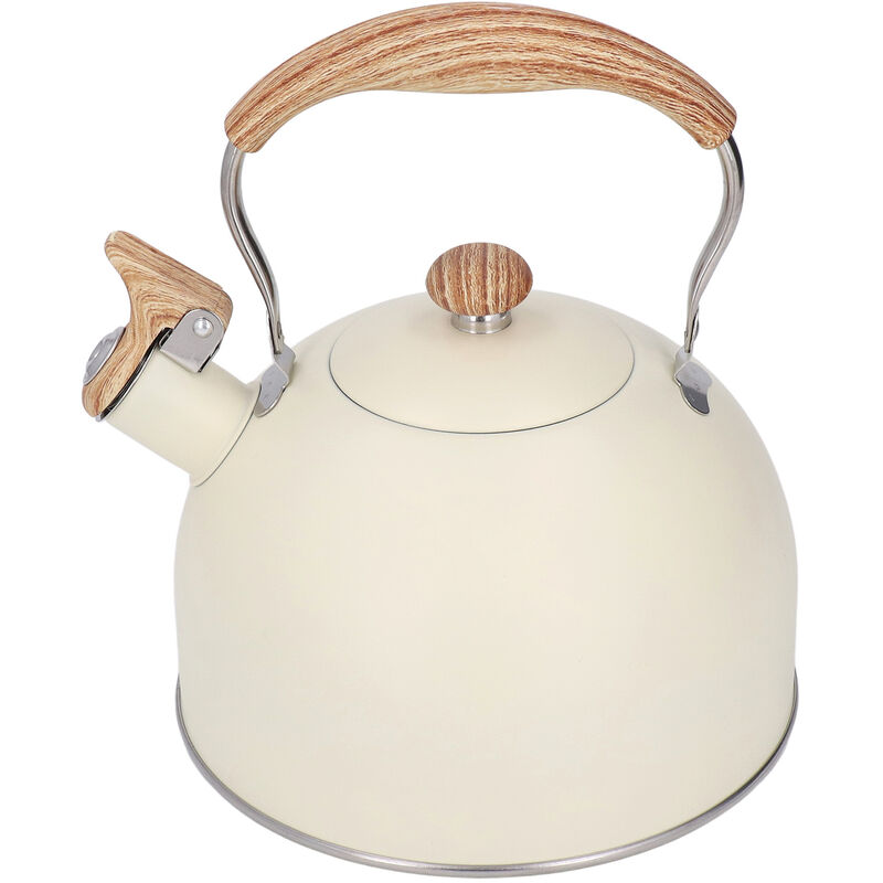 Bouilloire à thé sifflante en acier inoxydable, théière élégante